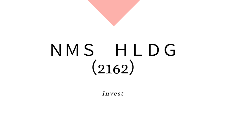 nmsホールディングス（2162）、事業内容、ビジネスモデル、強みと成長可能性